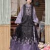 China Hanfu Ming-made Hanfu women stand-up collar and double-breasted pipa sleeve horse-faced skirt daily spring and autumn suit women's clothing