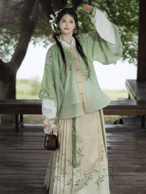 China Hanfu women's hand-made dress horseface skirt suit embroidery